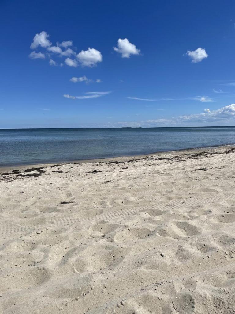 Huus Am Darss * Fuhlendorf (Mecklenburg-Vorpommern)