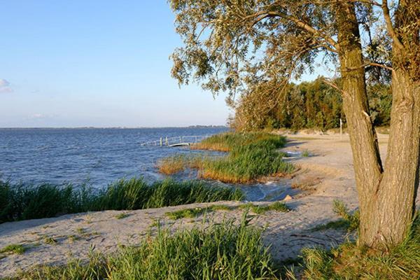 Huus Am Darss Fuhlendorf (Mecklenburg-Vorpommern)